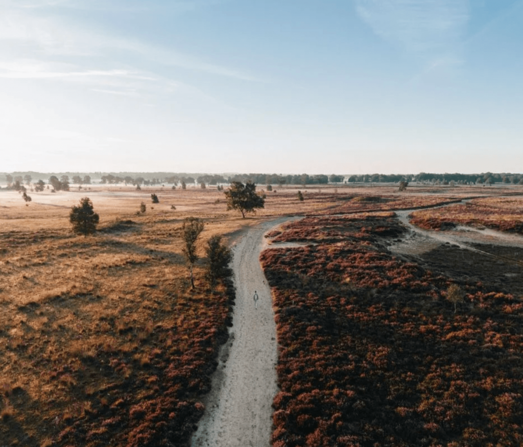 Omgeving Landgoed Het Grote Zand