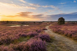 Wandelroutes rondom Hooghalen