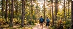 Wandelroutes rondom Hooghalen: ontdek Drenthe vanuit Landgoed Het Grote Zand